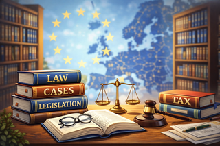Diritto UE: Regolamenti, Decisioni, Direttive